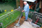 cleaning surface with capture tool and lance