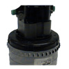 By-Pass Motor