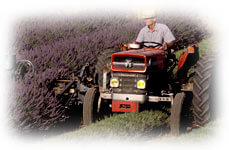 Pressure Washing Farm Equipment, Industrial and Agricultural Machinery
