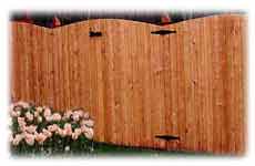 wood fence cleaning